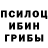 Галлюциногенные грибы мухоморы Vik Vikov