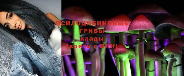 хмурый Армянск