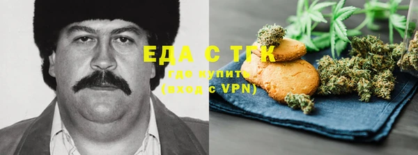 эйфоретик Арсеньев
