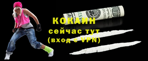 эйфоретик Арсеньев